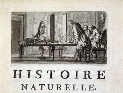 動物の解剖-ビュフォンの「自然界、一般、特殊の歴史」の中で 作： French School