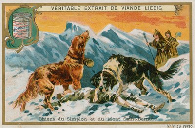 シンプロンとモン・セント・バーナードの犬 作： French School