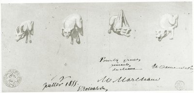 ノートルダムのガーゴイルの復元のための絵、1855 作： French School