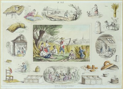 トウモロコシの教育イラスト、c.1860-70（カラー彫刻） 作： French School