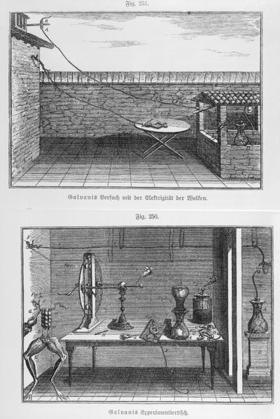 18世紀後半のルイガルヴァーニ（1737-98）によるカエルの実験 作： French School