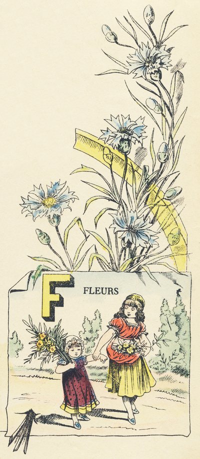 F：花 作： French School