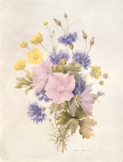 野の花、1842年（紙にトイレ） 作： French School