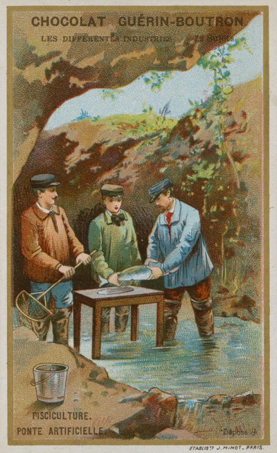 養魚 作： French School