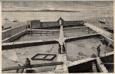 ブルターニュ、コンカルノーの養魚場 フィニステール、ブルターニュ、コンカルノーの養魚場 「PATRIE」の刻印 ルシアン・ユアールのDESCRIPTION PICTUREQUIRESSE DE LA FRANCE EN 6 VOLUES - 19世紀末 作： French School