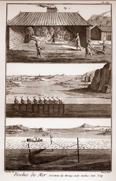 Peches de Mer - Sorretterie des herring et des sardines - "La Grande Encyclopedie, ou Dictionnaire Raisonne des Sciences, des Arts et des Metiers" (Encyclopedia or Dictionary of Sciences, Arts et the Profession) by Deni 作： French School