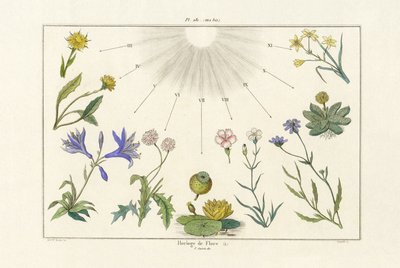 花時計、1833-39 作： French School