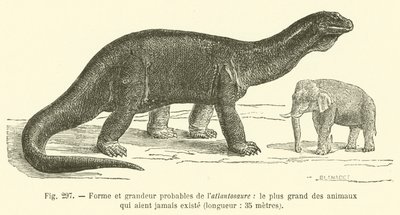 現存する最大の動物であるアトラントサウルスの推定形状と大きさ、長さ、35メートル（彫刻画 作： French School