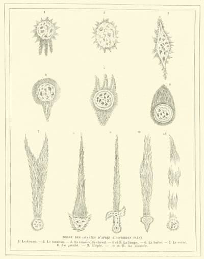 プリニウスの描いた彗星の形（版画 作： French School