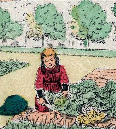 フランスの信念。赤ちゃんはキャベツやバラから生まれると信じている少女が、菜園の新芽を切っている - エピナルの絵 - 19世紀 (エングレービング) 作： French School