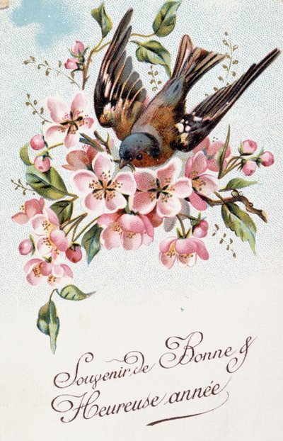 花と鳥を描いたフランスの年賀葉書 作： French School