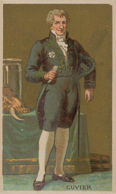 ジョルジュキュヴィエ、フランスの博物学者および動物学者（1769-1832） 作： French School