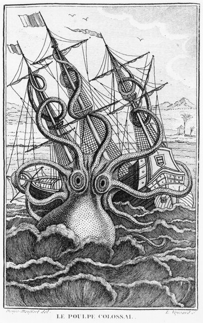 ジャイアントタコ、デニスモンフォールのLHistoire Naturelle Generale et Particuliere des Mollusquesのイラストc。 1802-03 作： French School