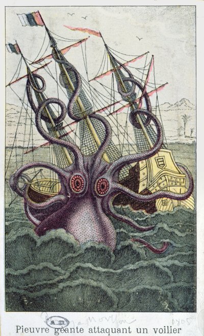 ジャイアントタコ、デニスモンフォールのLHistoire Naturelle Generale et Particuliere des Mollusquesのイラストc。 1802-03 作： French School