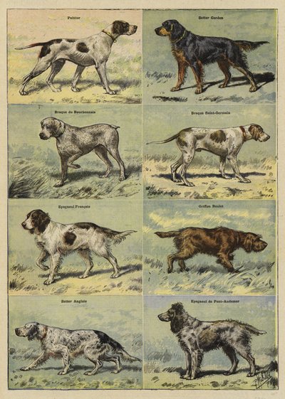 銃犬 作： French School