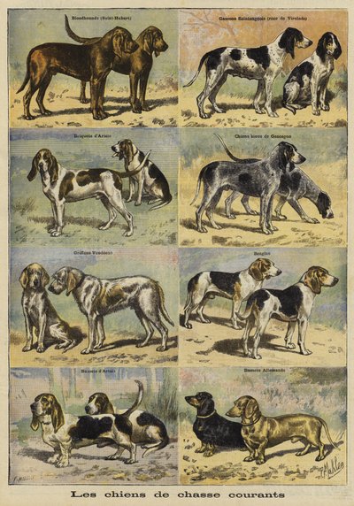 銃犬 作： French School