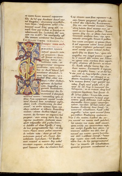 ハーレー 4772 f.120v ルツの書、「モンペリエ聖書」のオープニング ページ (羊皮紙にインクとカラー) 作： French School