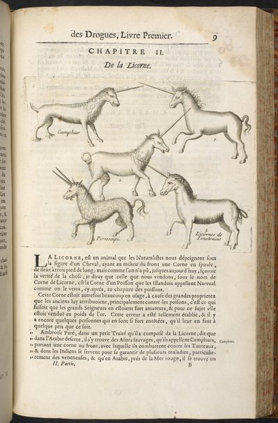 「植物、動物、鉱物を扱う薬物の一般的な歴史...」ピエール・ポメ 作： French School