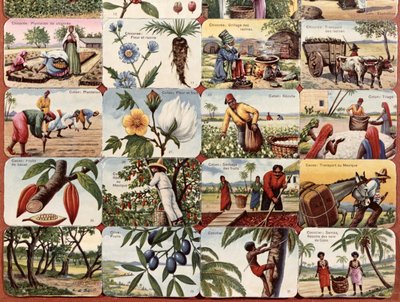 植民地のさまざまな製品についてのフランスの学校の教科書のイラスト、c.1920-30 作： French School