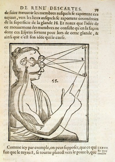 1662年、ハーグで出版されたルネデカルト（1596-1650）によるデホーミネフィグリスのイラスト 作： French School