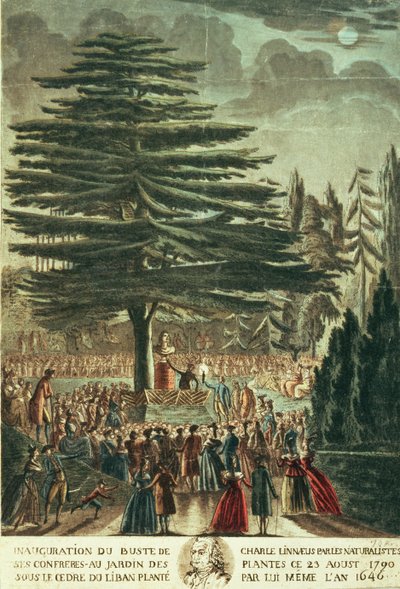 1790年8月23日、1646年に植えたレバノンの杉の下にある植物園にカールリンネ（1707-78）の胸像が発足 作： French School