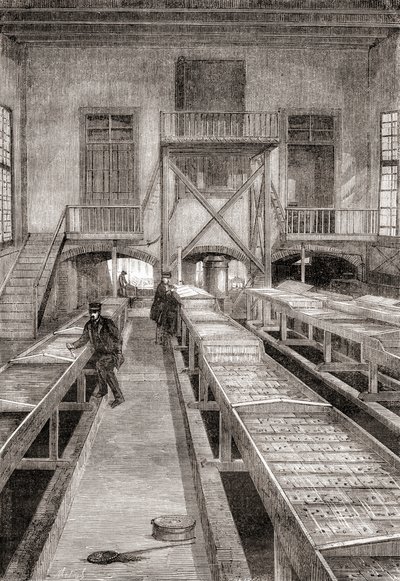 19世紀のフランス、フニンゲの養魚場の内部（1870年頃に出版された『Les Merveilles de la Science』より）（エングレーヴィング 作： French School