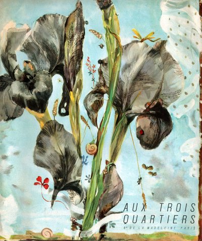アイリス (花)。 （イラスト、1920年頃） 作： French School