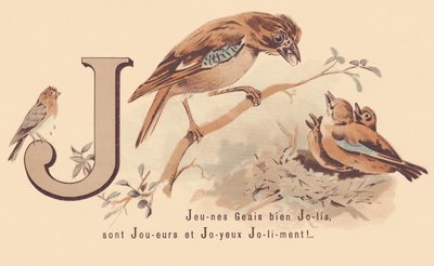 J：Young Jays Pretty are Players and Happy Jolily! 作： French School