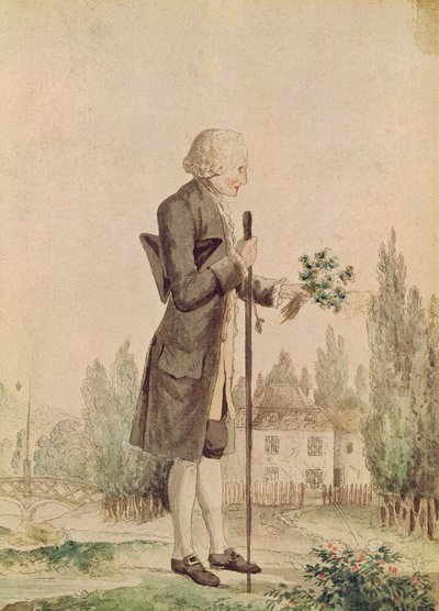 ジャン=ジャック・ルソー（1712-78）エルメノンヴィルでハーブを集める 作： French School