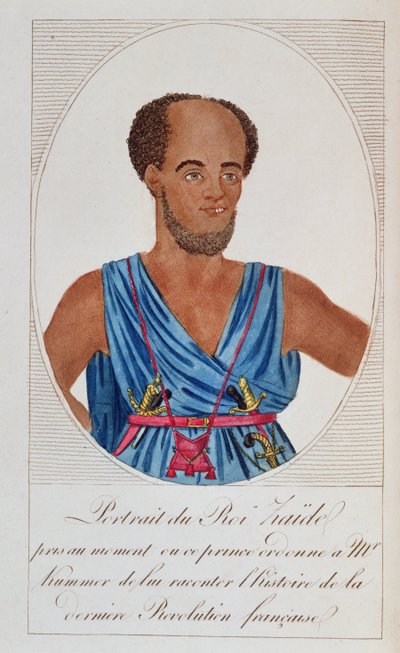 A. CorreardとJBH Savigny、1818年によるザフレ王、セネガル、Naufrage de lafrégatelaMéduseの表紙 作： French School