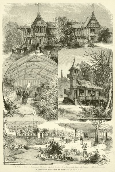 トロカデロの林業と園芸の展示会（彫刻 作： French School