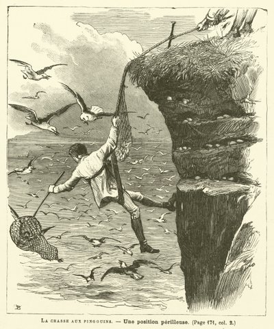 ペンギン狩り（版画 作： French School