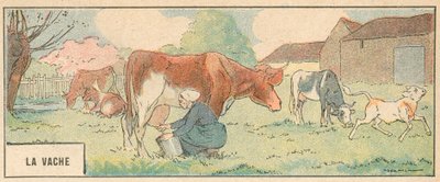 The Cow（カラーリトグラフ 作： French School
