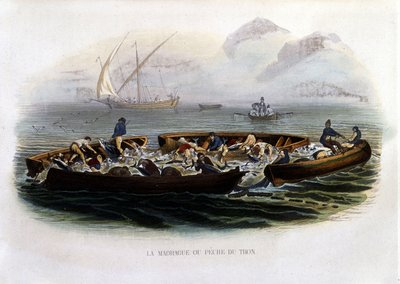 La madrague or Pêche tuna - "Histoire naturelle de Lacepède "にて。 作： French School