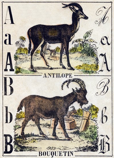文字 A アンテロープ、B アイベックス。Alphabet des animaux sauvages "に掲載されている図版。9番目のシリーズ。エピナルのイメージ、ペラン、印刷・出版業者、1870年頃。木にステンシルで描かれた版画。16ページ。20×15cm。個人蔵 作： French School