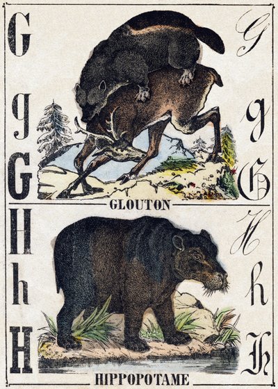 文字 G グラットン、H ヒポタマス。Alphabet des animaux sauvages "の版画。第9部。エピナルのイメージ、ペラン、印刷・出版業者、1870年頃。木にステンシルで描かれた版画。16ページ。20×15cm。個人蔵 作： French School