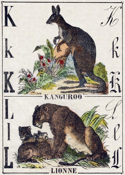 文字 K L; K Kanguroo; L Lionne.Alphabet des animaux sauvages "に掲載されている版画。第9部。エピナルのイメージ、ペラン、印刷・出版業者、1870年頃。木にステンシルで描かれた版画。16ページ。16ページ。厚さ20×15cm。個人蔵 作： French School