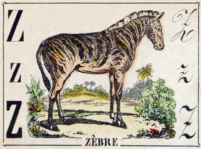 文字Z Zebre。Alphabet des animaux sauvages "に掲載されている版画。第9部。エピナルのイメージ、ペラン、印刷・出版業者、1870年頃。木にステンシルで描かれた版画。16ページ。20×15cm。個人蔵 作： French School