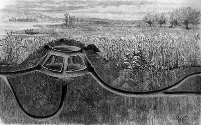 モグラの住処。"Le Journal de la jeunesse "に掲載された版画 作： French School
