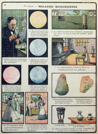 ルイパスツール（1822-95）と細菌病、Les Sciences Physiques et Naturelles、パリ、1908年 作： French School