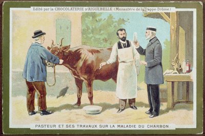 炭疽菌を調査しているルイパスツール（1822-95）、ショコラトリーダグベルの広告カード 作： French School