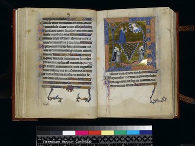 MS 300 f25v-26r、ダビデは、パリのイザベラの詩篇と時間から、神に祈る、c.1265-70 作： French School