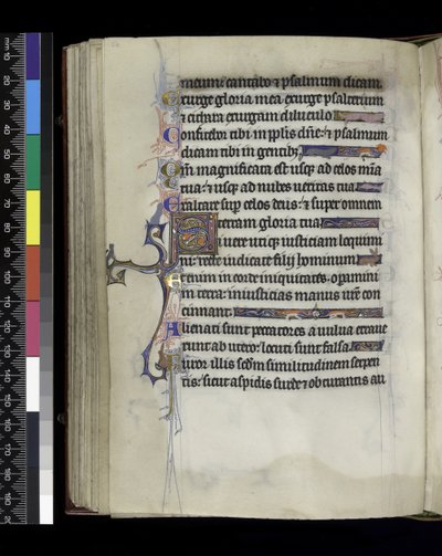 MS 300 f.61v、パリのイザベラの詩篇と時間のフォリオ、c.1265-70 作： French School
