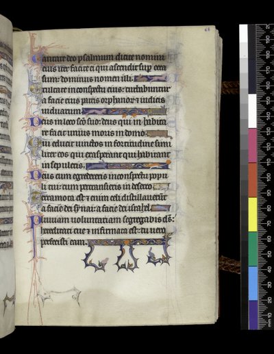 MS 300 f.68r、パリのイザベラの詩篇と時間のフォリオ、c.1265-70 作： French School