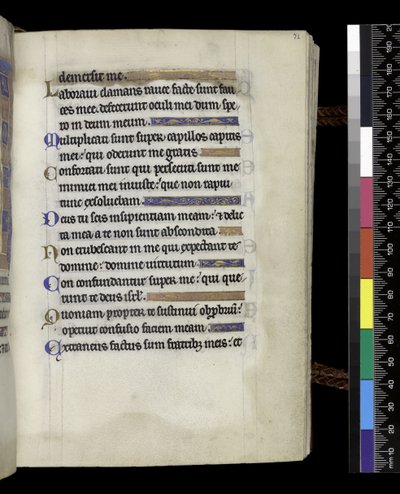 MS 300 f.71r、パリのイザベラ・オブ・フランスの『詩篇と時祷』より、1265年から70年頃（羊皮紙にペンとインクとテンペラ 作： French School