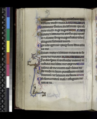 MS 300 f.73v、フランスのイザベラの詩篇と時間、パリ、c.1265-70 作： French School