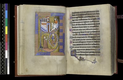 MS 300 f.XIII-1r、パリのイザベラ・オブ・フランスの『詩篇と時祷』より、1265年から70年頃（羊皮紙にペンとインク、テンペラ）。 作： French School