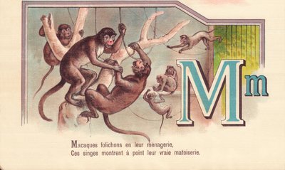 M：メナジェリーにいるマカクのリーフレット 作： French School