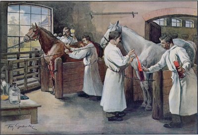 Les Animaux、c.1900から馬の血からジフテリア血清を作る 作： French School