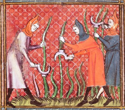 Ms 1044 f.120木を切る、Chretien Legouaisによって書かれたOvide Moraliseから 作： French School